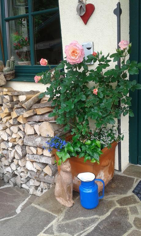 Holdhaeusl Διαμέρισμα Schladming Δωμάτιο φωτογραφία